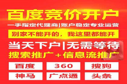 竞价推广的预算分配与优化：案例解读